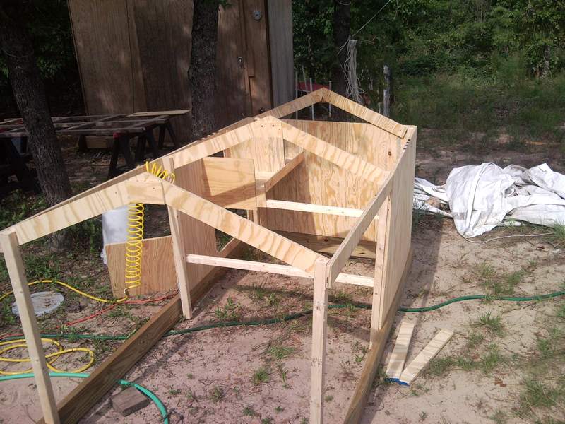th_coop_build_29.jpg