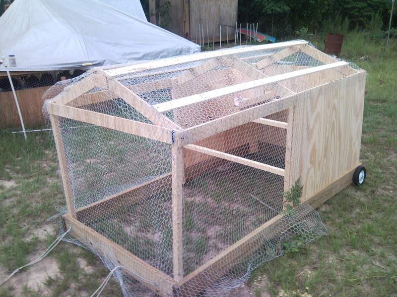 th_coop_build_32.jpg