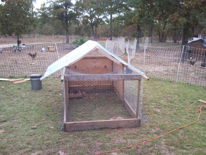 th_coop_build_37.jpg