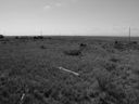 sept_06_pawnee_grasslands_017.jpg